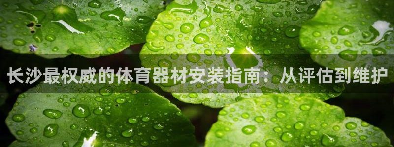 耀世娱乐如何登录账号密码：长沙最权威的体育器材安装指