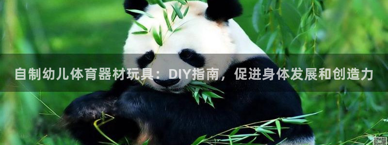 耀世平台注册网址查询:自制幼儿体育器材玩具:DIY指南,促进