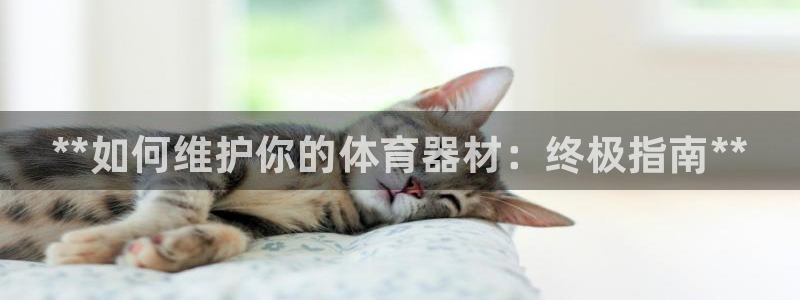 耀世娱乐挂机软件:**如何维护你的体育器材:终极指南**