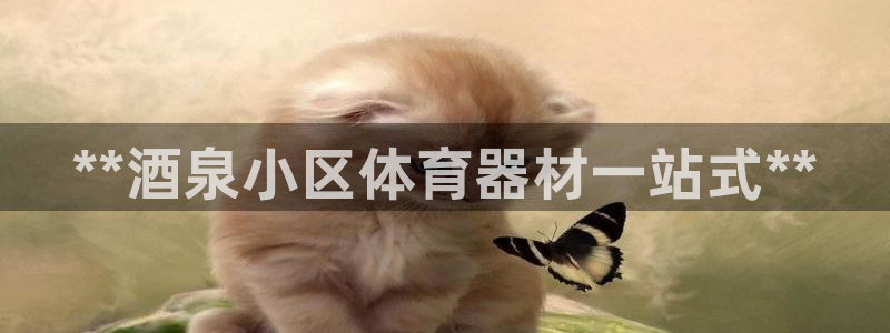 耀世娱乐是什么意思啊:**酒泉小区体育器材一站式**