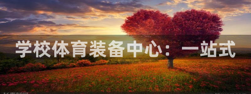 耀世平台有很多登录地址怎么回事:学校体育装备中心:一站式