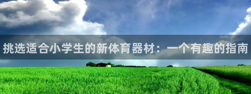 耀世娱乐电 5O6917 娱乐:挑选适合小学生的新体育器材: