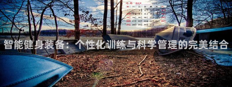 耀世集团视频直播:智能健身装备:个性化训练与科学管理的完美结